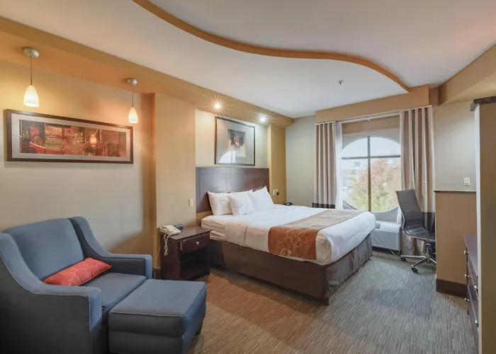 Comfort Suites Perrysburg - Toledo South
