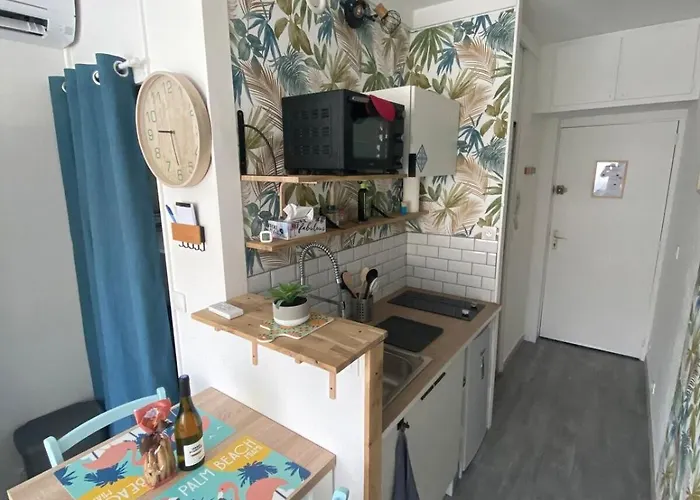 Appartements Parfaits Pour Cures Thermales, Au Bord De L'Etang De Thau