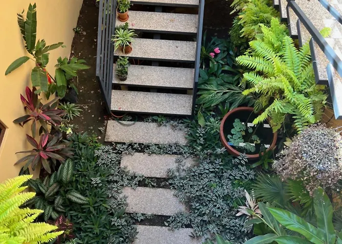Casa Botanica