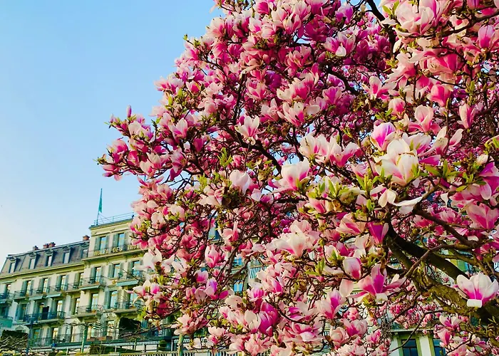 Hôtel Des Trois Couronnes&Spa - The Leading Hotels of the World