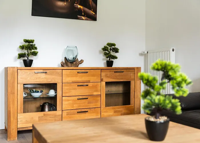 Hotel Vier Jahreszeiten An Der Therme & Kliniken Bad Krozingen Naehe Freiburg & Schwarzwald Ideal Fuer Wellness Kur & Business Ausfluege 24H Check In- Wlan & Parken Gratis