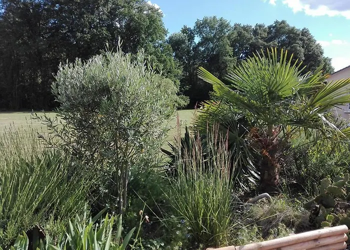 La Doucinière