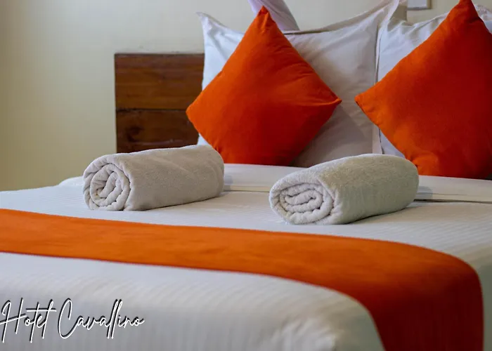 Hotel Cavallino
