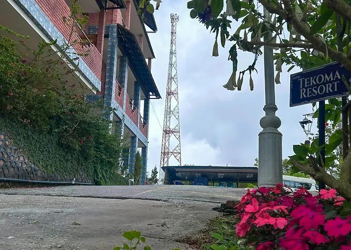 Tekoma Hotel & Hostel Cameron Highlands - Free Shuttle Service