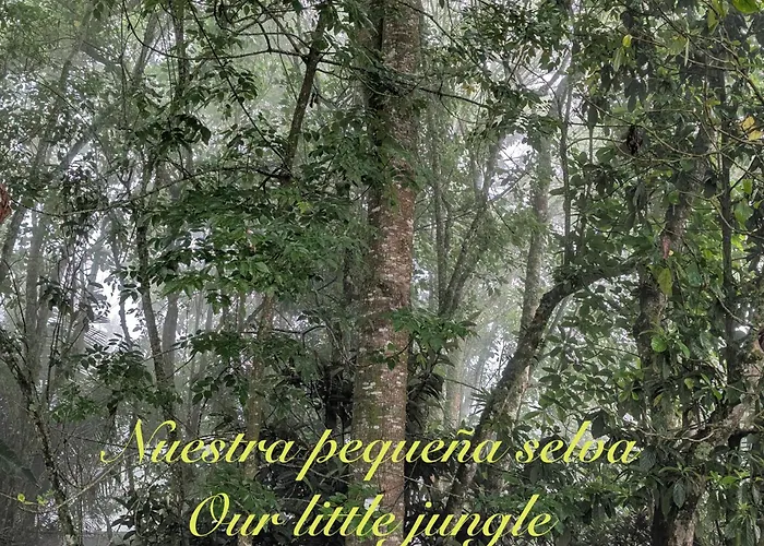 Terrazas de Salento