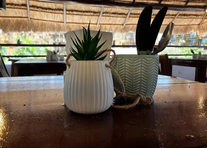 Hotel Aria Quinta Avenida&Rooftop Playa del Carmen