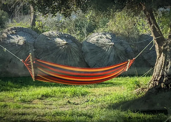 Waveside Camping