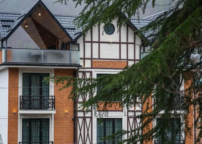 1 Hotel Borjomi