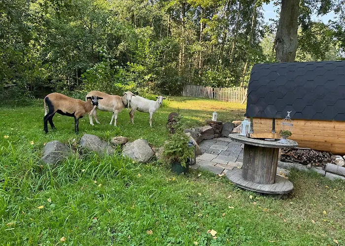 Ferienzimmer Teiselsmühle Gehren Heideblick