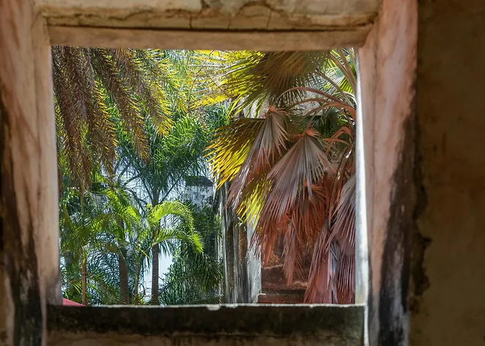 Mbweni Ruins & Gardens Previously Jungle Paradise