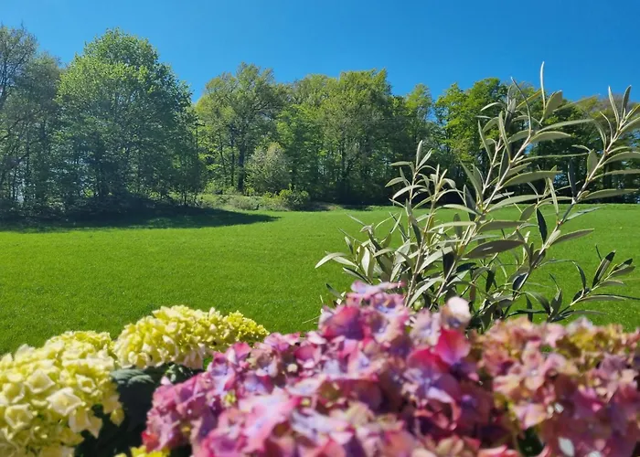 Landhaus Talblick- Fruehstueckspension-Hotel Garni (Adults Only)