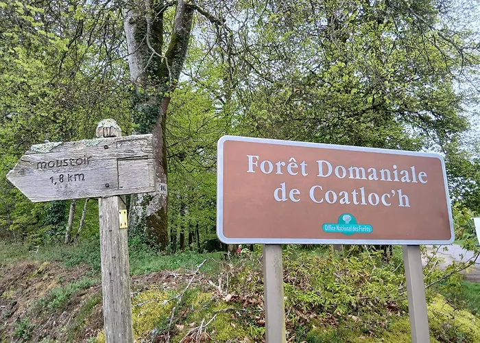 Chambre paisible avec jardin à la campagne en Finistère sud