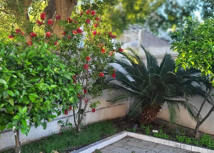 Apartments Villa Alba