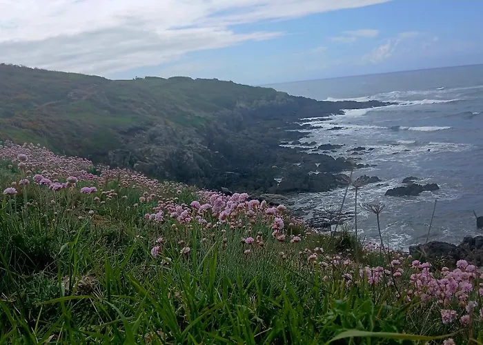Chambre paisible avec jardin à la campagne en Finistère sud