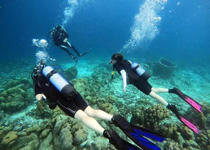 Tropical Divers Resort
