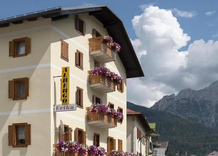 Hotel Erika