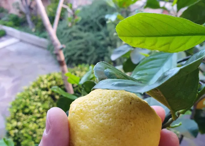 La Dolce Vita Alloggio Turistico