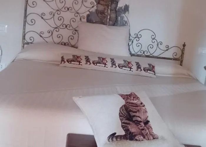 La Casa Stregatta