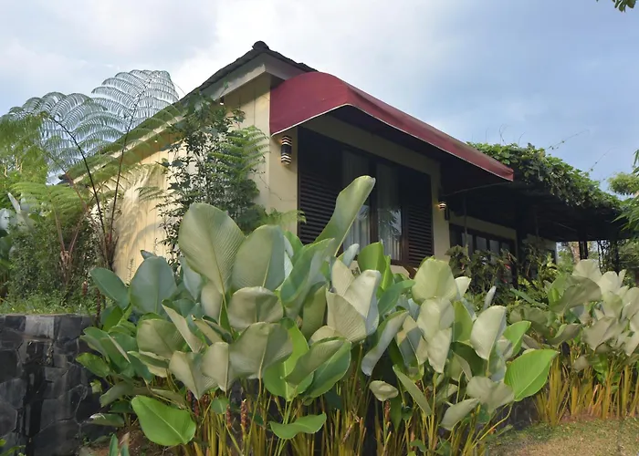 Sarga Earthing Resort