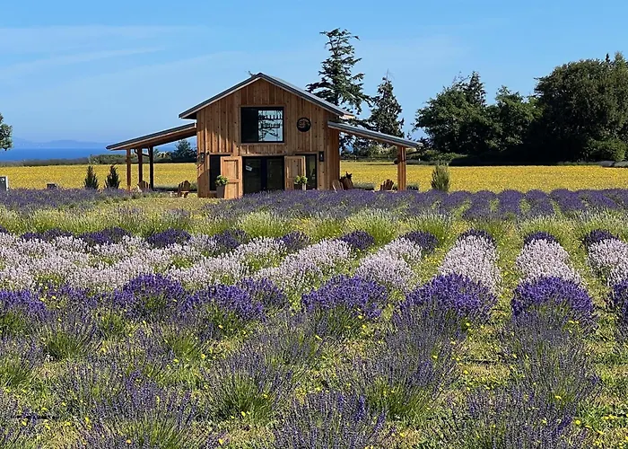 Salt And Cedar Bed And Breakfast