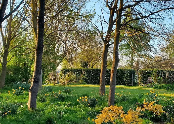 Le Jardin Des Papillons, Gite Et Chambre D'Hotes A Saint Fraimbault