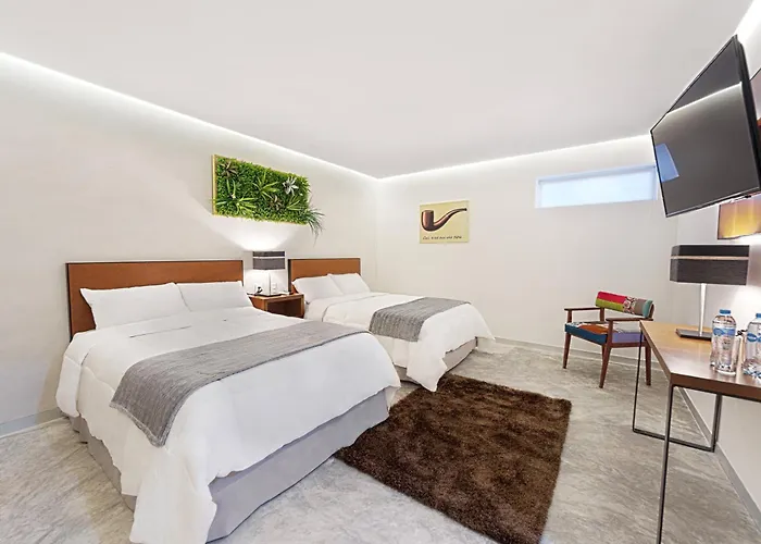 Hotel Urban 101