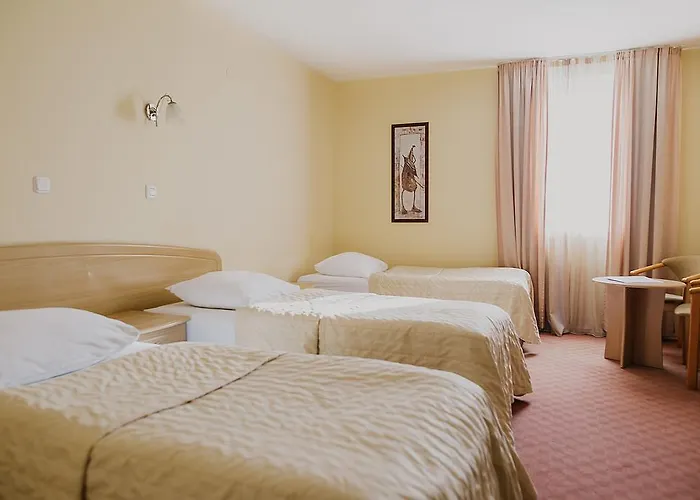 Hotel Silver