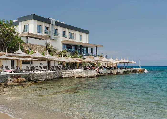 Shayna Beach Club