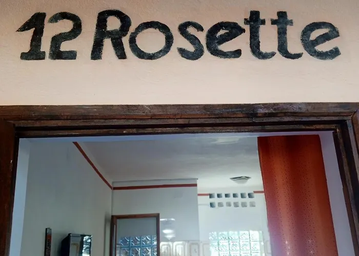 Aloe & Rosette