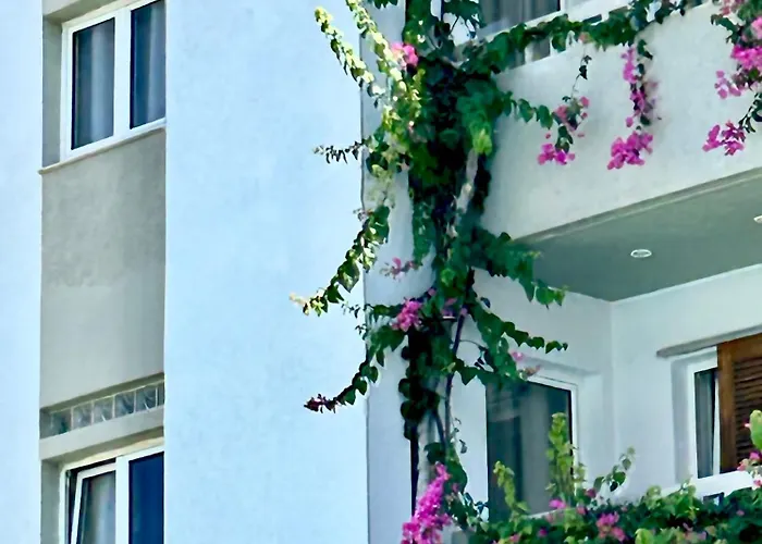 Andromeda Apartments & Studios