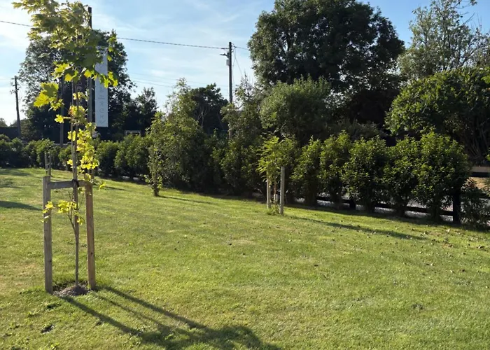 Ashlee Lodge, Shanagarry P25K6R6 Near Ballymaloe Cookery School & Garryvoe Hotel