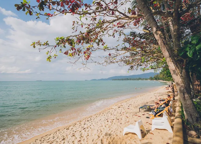 Chill Inn Lipa Noi Hostel And Beach Cafe