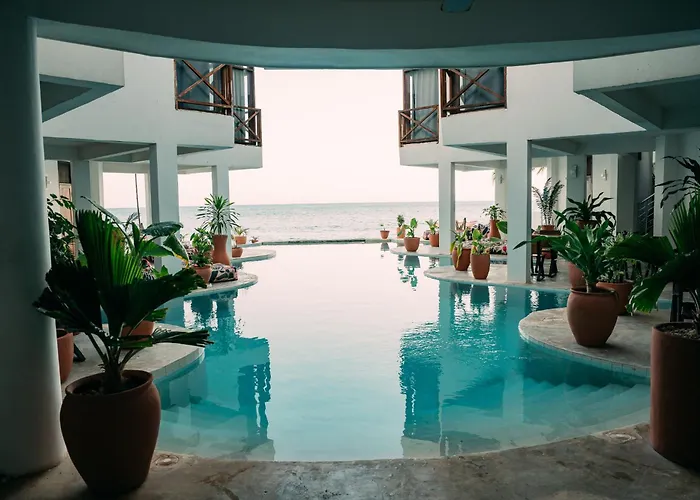 Zan Tropical Island
