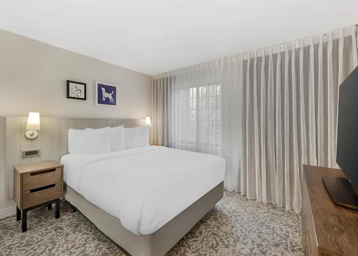 Sonesta Es Suites Austin The Domain Area - Newly Renovated