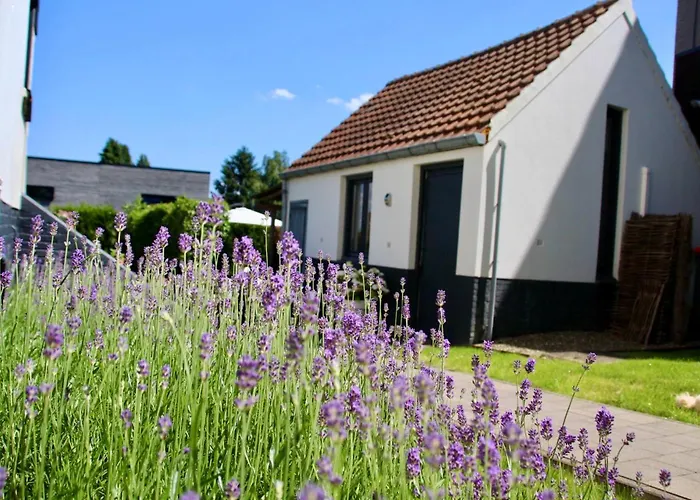 Belle Chique - Maastricht