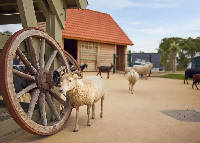 Beachhotel Zandvoort By Center Parcs