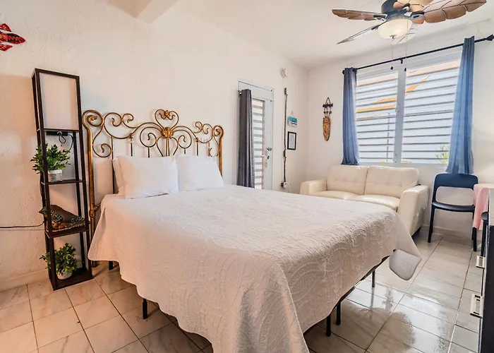 Coconut Palms Rincon