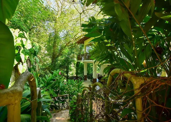 Jungle Villa - Induruwa