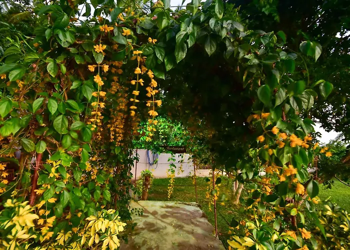 Jungle Villa - Induruwa