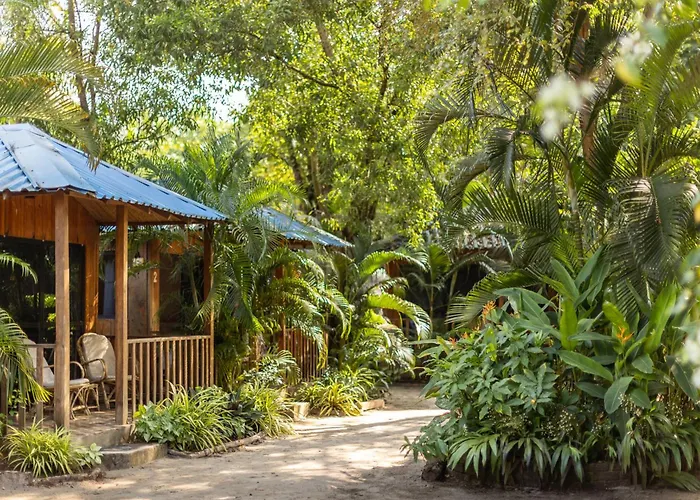 Palm Forest Palolem