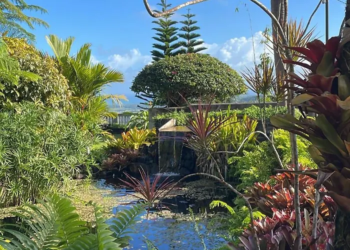El Yunque Rainforest Inn