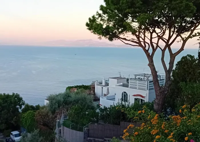 La Pergola Del Torchio