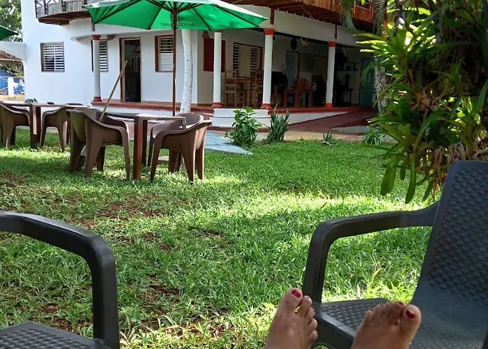 El jardín del coco