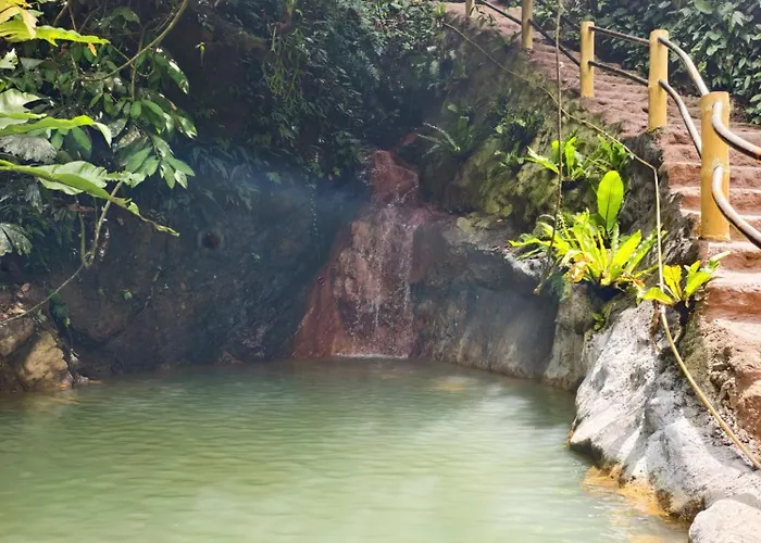 Thejungleguide - Lodges & Treks
