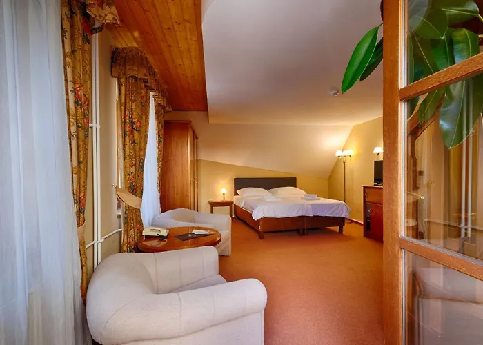 Hotel Concertino Zlata Husa
