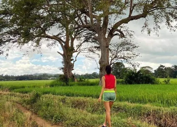 Safari Olee Villa