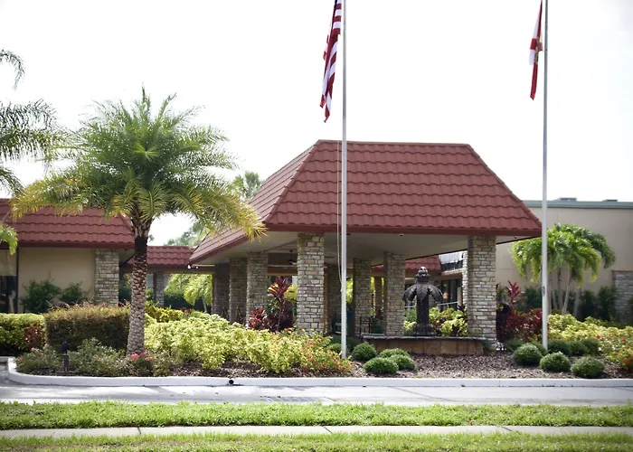 Magic Tree Resort