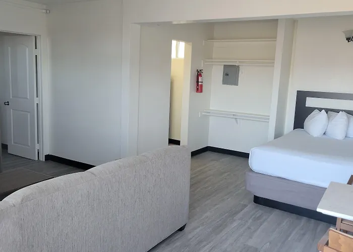 Vivo Flex Living Torrance