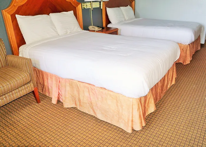 Hotel Elev8