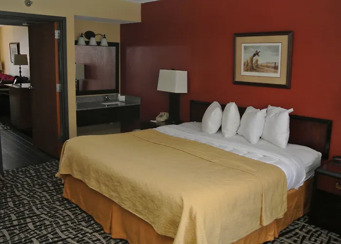 Quality Inn & Suites Mayo Clinic Area